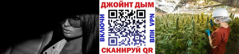 где найти наркотики  Плёс  Марихуана Amnesia 